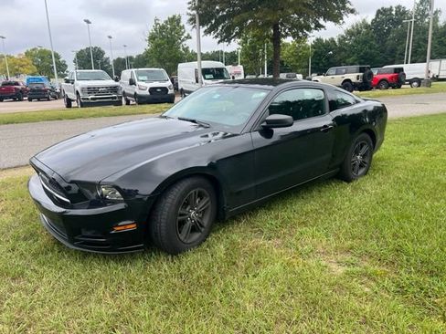Used 2014 Ford Mustang Coupe w/ Equipment Group 102A RWD image 1