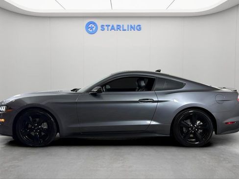 Used 2023 Ford Mustang Premium w/ Mustang Nite Pony Package image 3