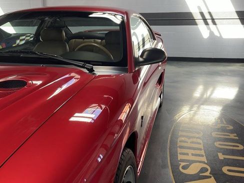 Used 1996 Ford Mustang Cobra RWD image 3