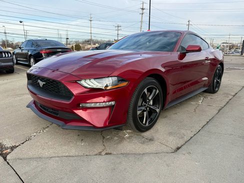 Used 2019 Ford Mustang Coupe w/ Equipment Group 101A image 6