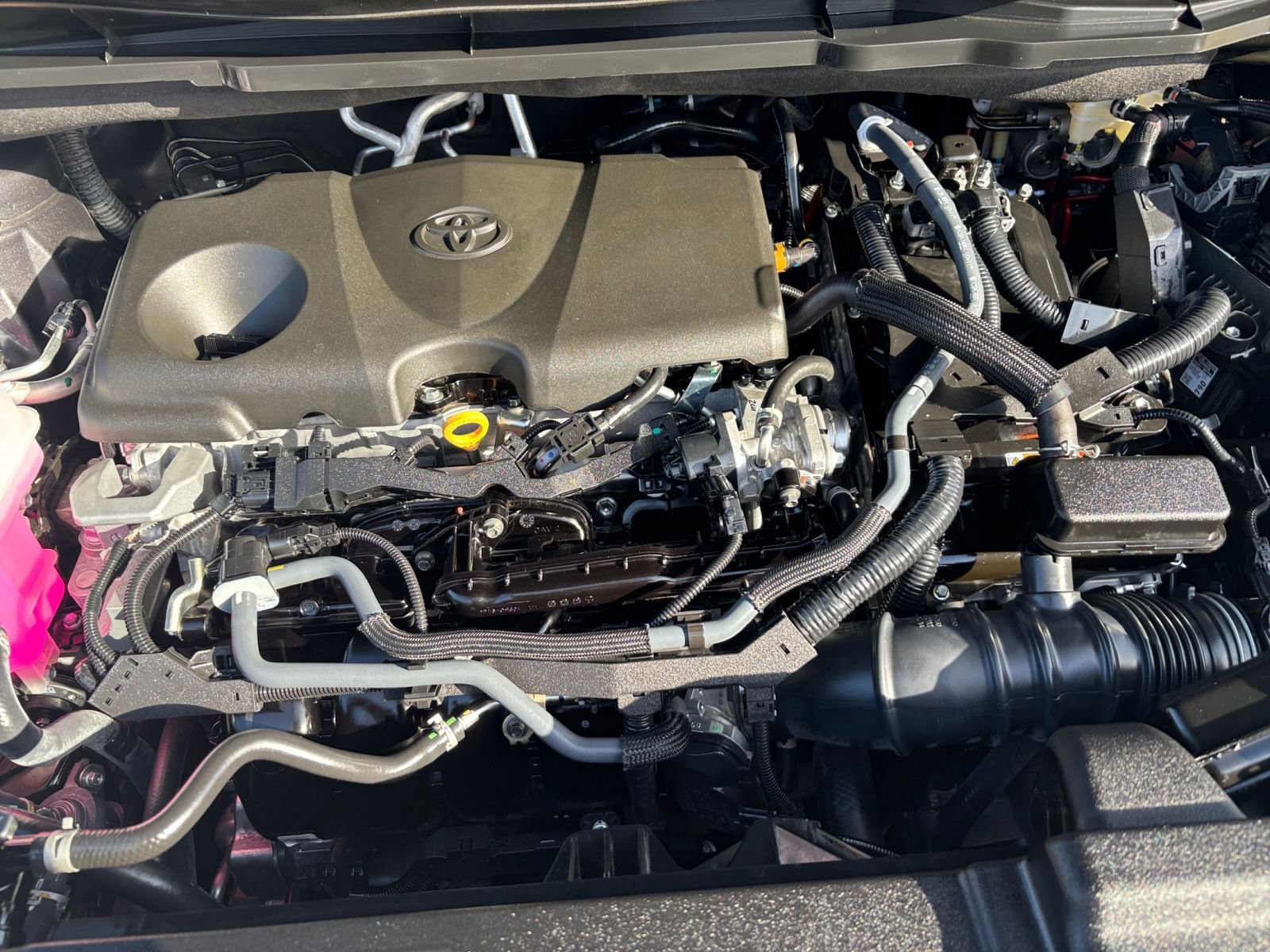 Used 2025 Toyota Sienna XLE FWD image 34