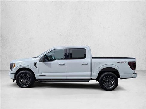 Used 2023 Ford F150 XLT w/ Equipment Group 302A High AWD/4WD image 9