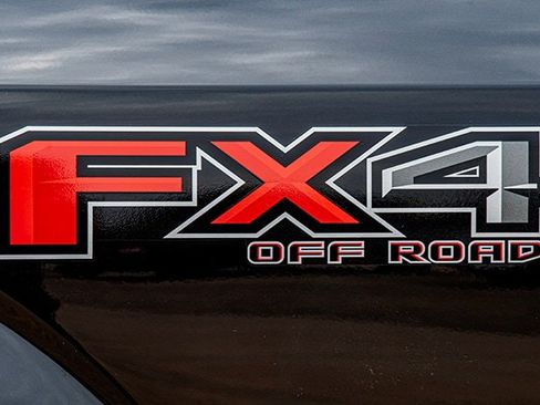 Used 2020 Ford F150 Platinum w/ Equipment Group 701A Luxury image 19