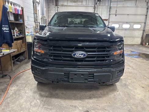 Used 2025 Ford F150 XLT w/ Equipment Group 301A Standard image 16