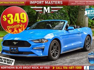 Used 2022 Ford Mustang Premium RWD video 1