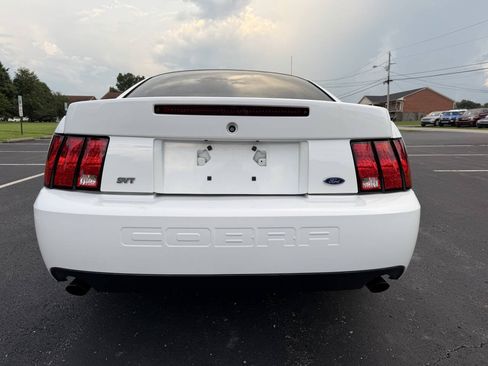 Used 2003 Ford Mustang Cobra RWD image 5