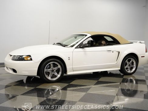 Used 2001 Ford Mustang Cobra RWD image 7