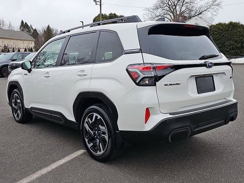 Used 2025 Subaru Forester Limited image 4