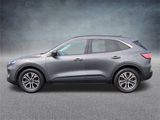 Used 2021 Ford Escape SEL w/ Technology Package image 5