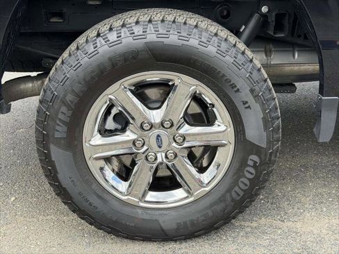 Used 2025 Ford F150 XLT w/ Equipment Group 301A Standard AWD/4WD image 7