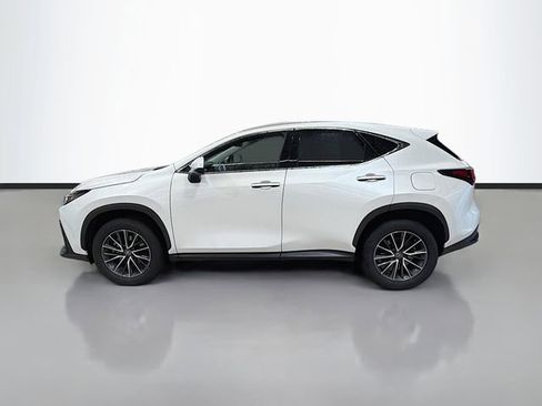 Used 2024 Lexus NX 350 AWD w/ Cold Area Package image 4