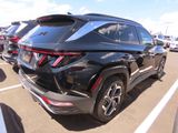 Used 2023 Hyundai Tucson Limited image 3
