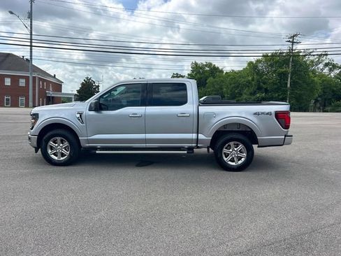 Used 2025 Ford F150 XLT w/ Equipment Group 301A Standard AWD/4WD image 7