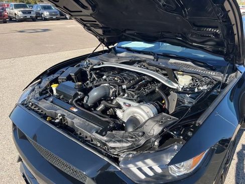 Used 2016 Ford Mustang Shelby GT350 w/ Technology Package image 35