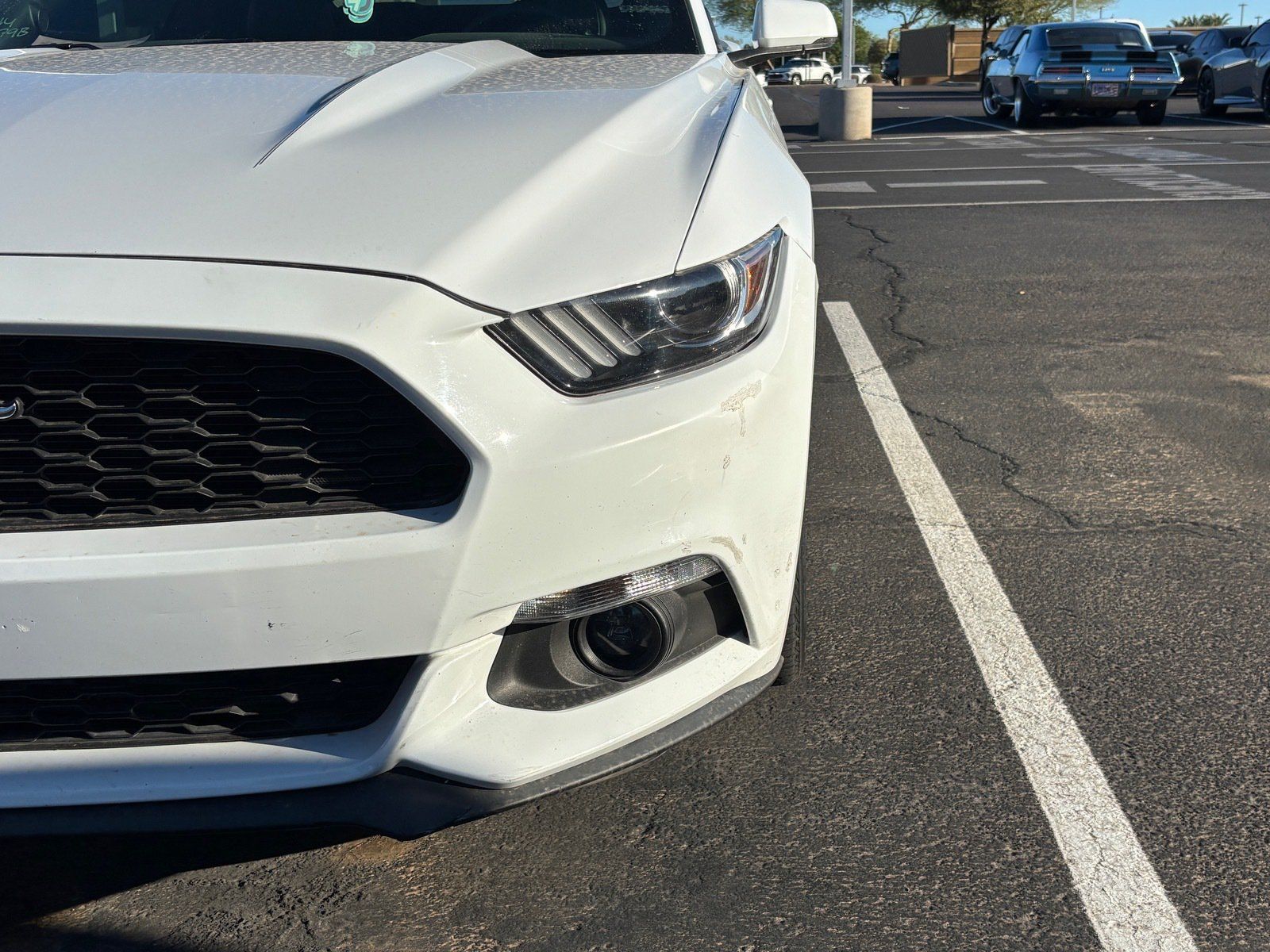 Used 2017 Ford Mustang Premium w/ Equipment Group 201A RWD image 8