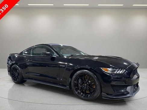 Used 2019 Ford Mustang Shelby GT350 w/ Technology Package image 1