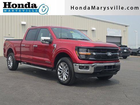 Used 2024 Ford F150 XLT w/ Equipment Group 302A MID AWD/4WD image 1