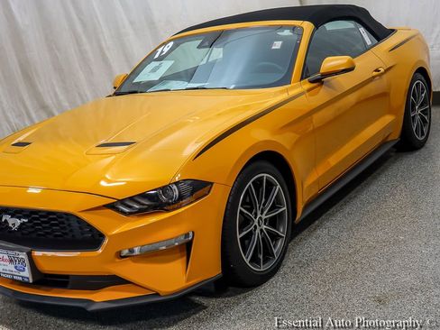 Used 2019 Ford Mustang Premium w/ Equipment Group 201A RWD image 6