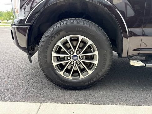 Used 2019 Ford F150 XLT w/ Equipment Group 302A Luxury AWD/4WD image 7