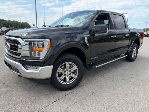 Used 2023 Ford F150 XLT w/ Equipment Group 302A High AWD/4WD image 3