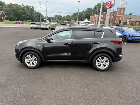 Used 2017 Kia Sportage LX AWD/4WD image 5