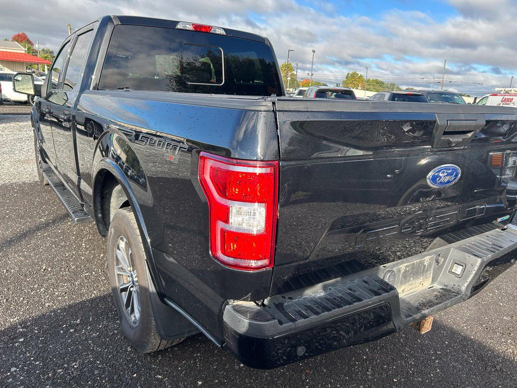 Used 2019 Ford F150 XLT w/ Equipment Group 302A Luxury AWD/4WD image 8
