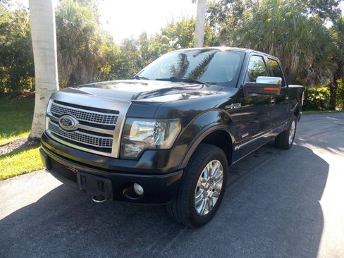 Used 2011 Ford F150 Platinum AWD/4WD image 3