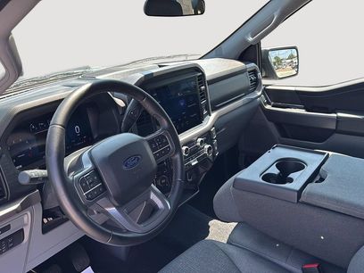 Used 2025 Ford F150 XLT w/ Equipment Group 301A Standard