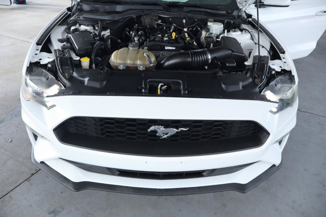 Used 2019 Ford Mustang Coupe RWD image 33