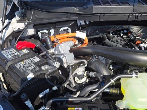 New 2025 Ford F150 XLT w/ Equipment Group 302A MID image 40