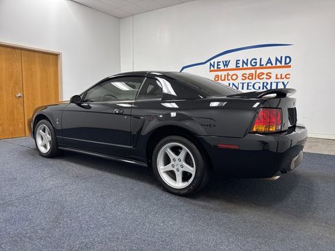 Used 1999 Ford Mustang Cobra image 3
