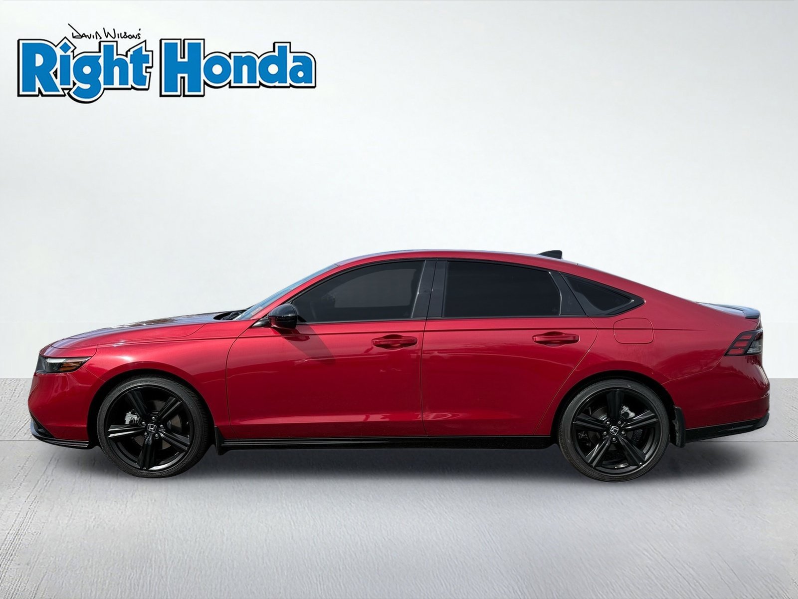 Used 2024 Honda Accord Sport image 3