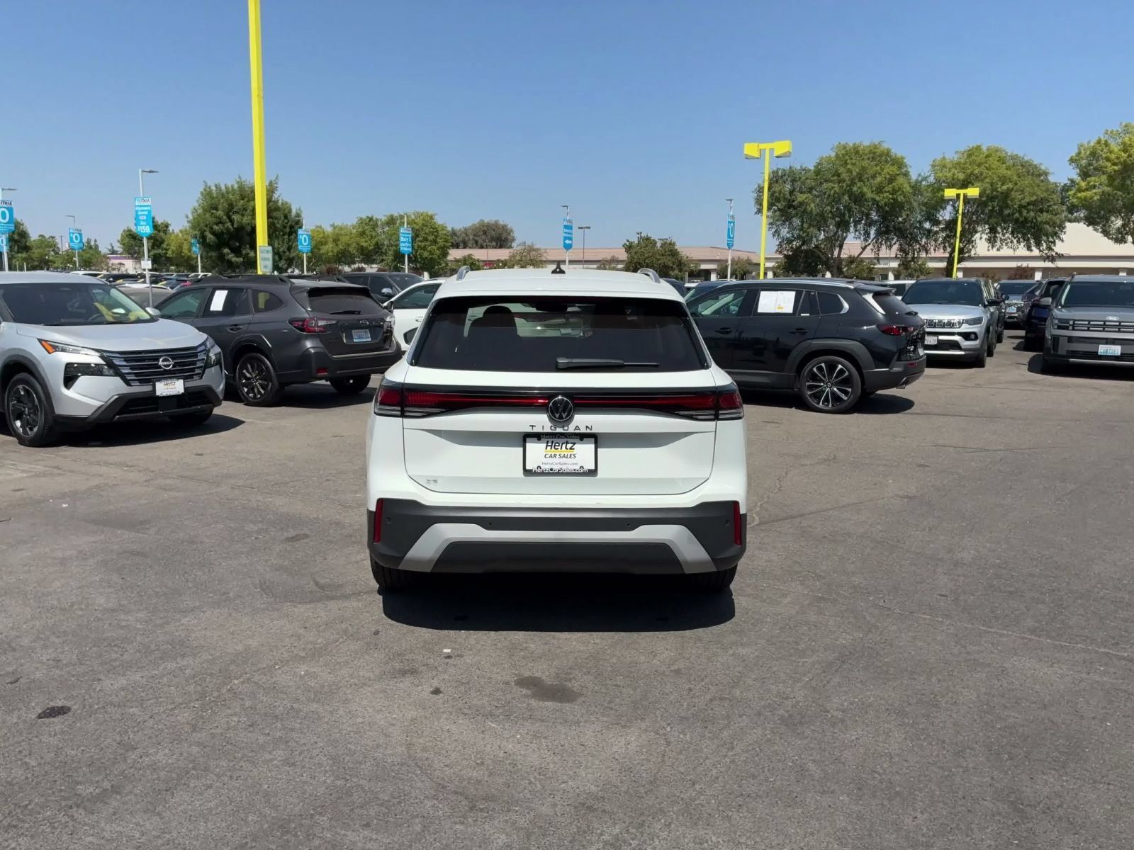 Used 2026 Volkswagen Tiguan SE FWD image 12