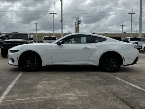 New 2026 Ford Mustang Premium w/ Mustang Nite Pony Package image 7