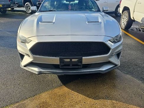 Used 2019 Ford Mustang Premium image 13