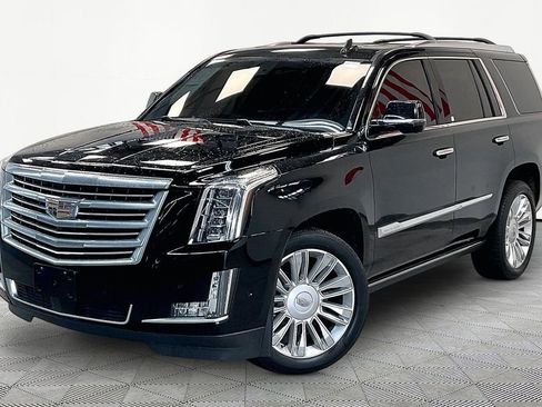 Used 2017 Cadillac Escalade Platinum AWD/4WD image 1