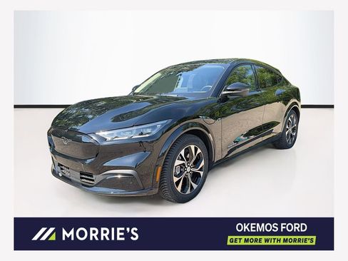 Used 2023 Ford Mustang Mach-E Premium RWD image 1