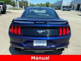 Used 2019 Ford Mustang Premium w/ Ecoboost Performance Package image 4
