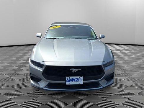 Used 2025 Ford Mustang Premium RWD image 5