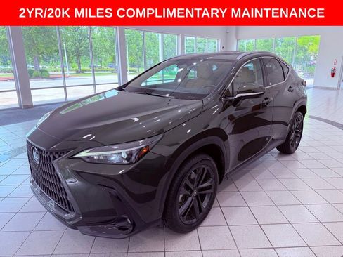 Certified 2025 Lexus NX 350h AWD w/ Cold Area Package image 3