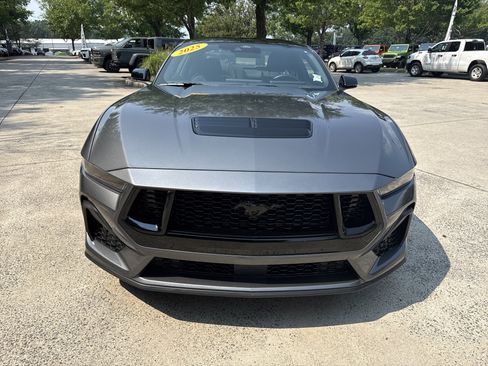 Used 2025 Ford Mustang GT w/ Mustang Nite Pony Package RWD image 2