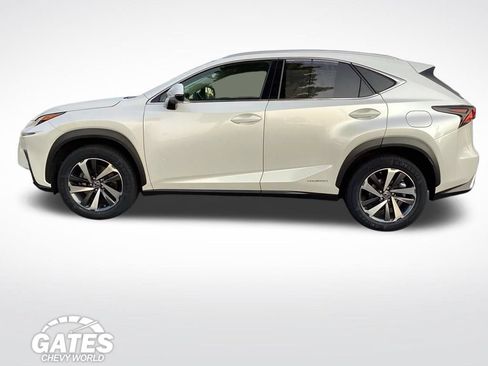 Used 2019 Lexus NX 300h AWD w/ Premium Package image 7