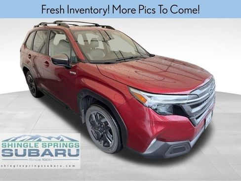 Used 2025 Subaru Forester Limited image 1