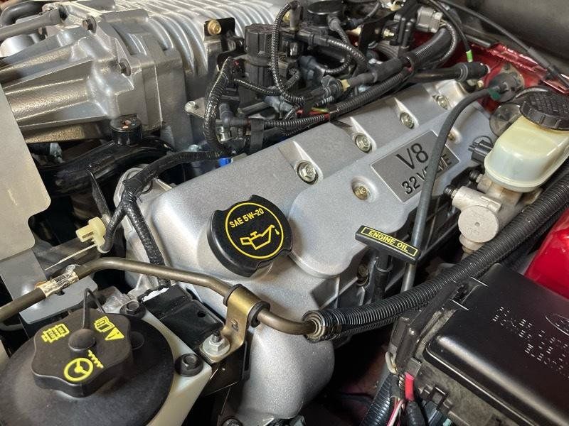 Used 2003 Ford Mustang Cobra RWD image 58