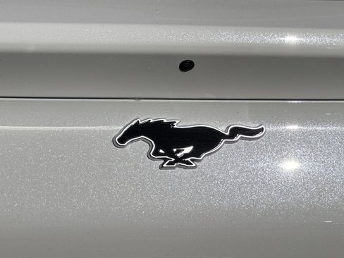 New 2025 Ford Mustang Mach-E Premium w/ Interior Protection Package image 26