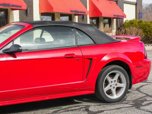 Used 1999 Ford Mustang Cobra RWD image 61