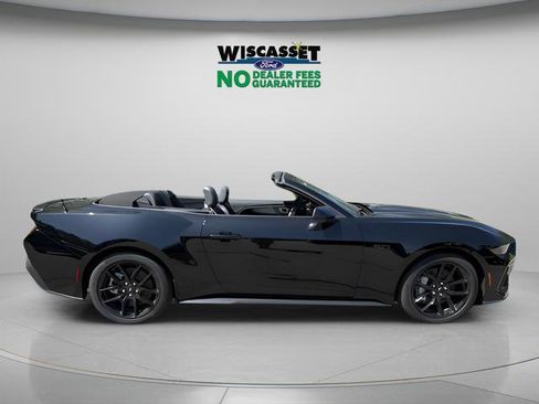 New 2025 Ford Mustang GT Premium w/ Mustang Nite Pony Package RWD image 6
