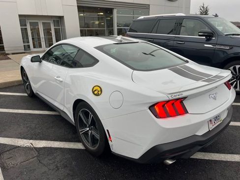 Used 2024 Ford Mustang Premium image 8