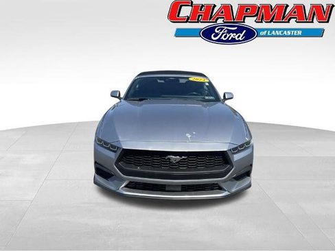Certified 2024 Ford Mustang Premium RWD image 2