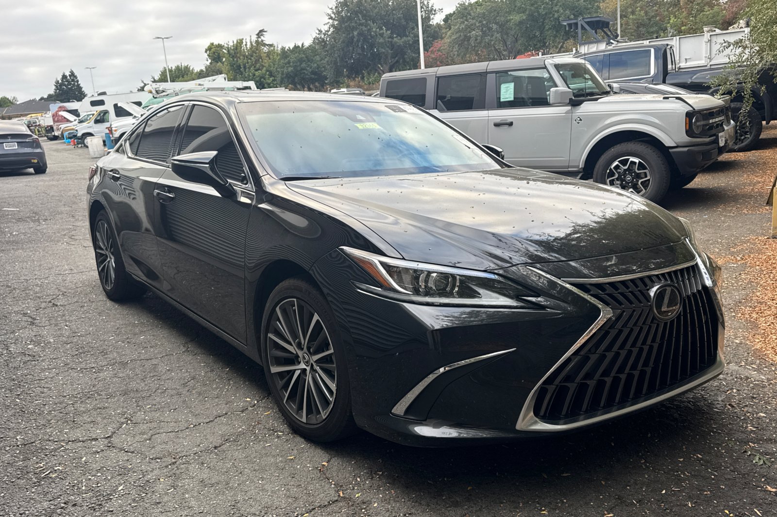 Used 2025 Lexus ES 300h w/ Premium Package FWD image 2